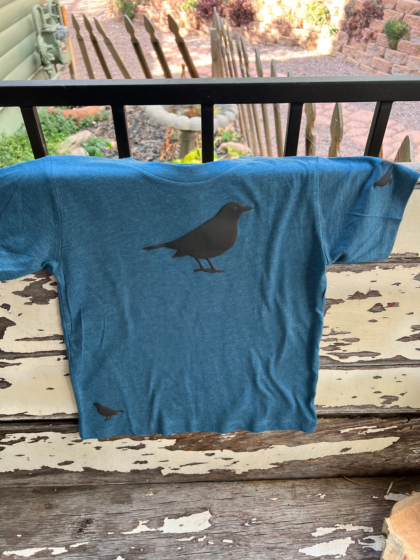 American Crow - Puff