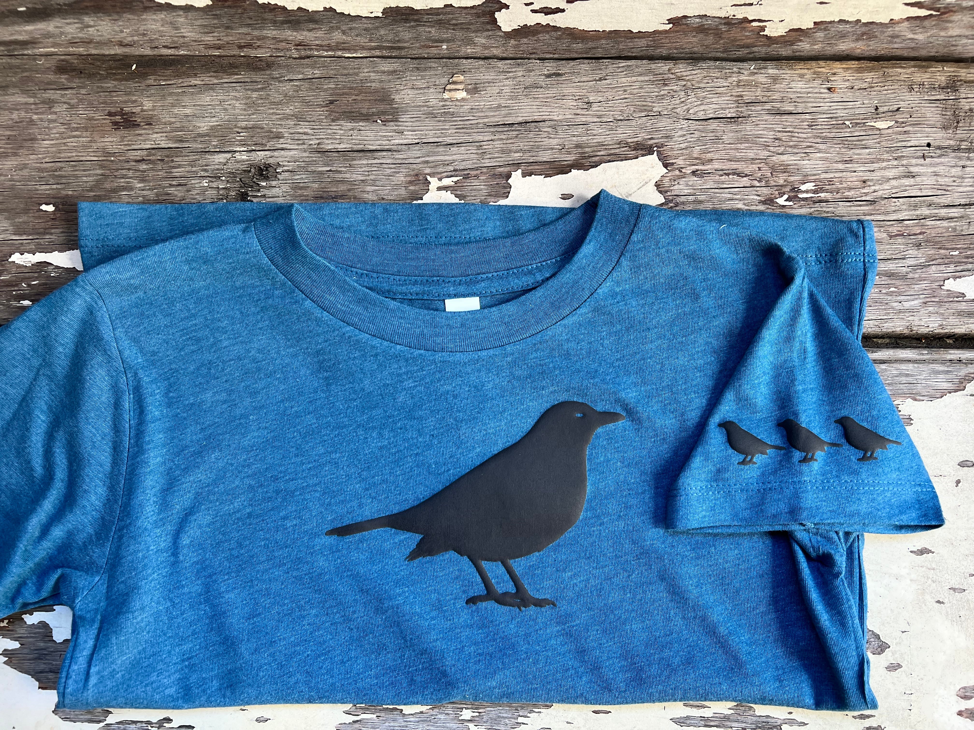 American Crow - Puff