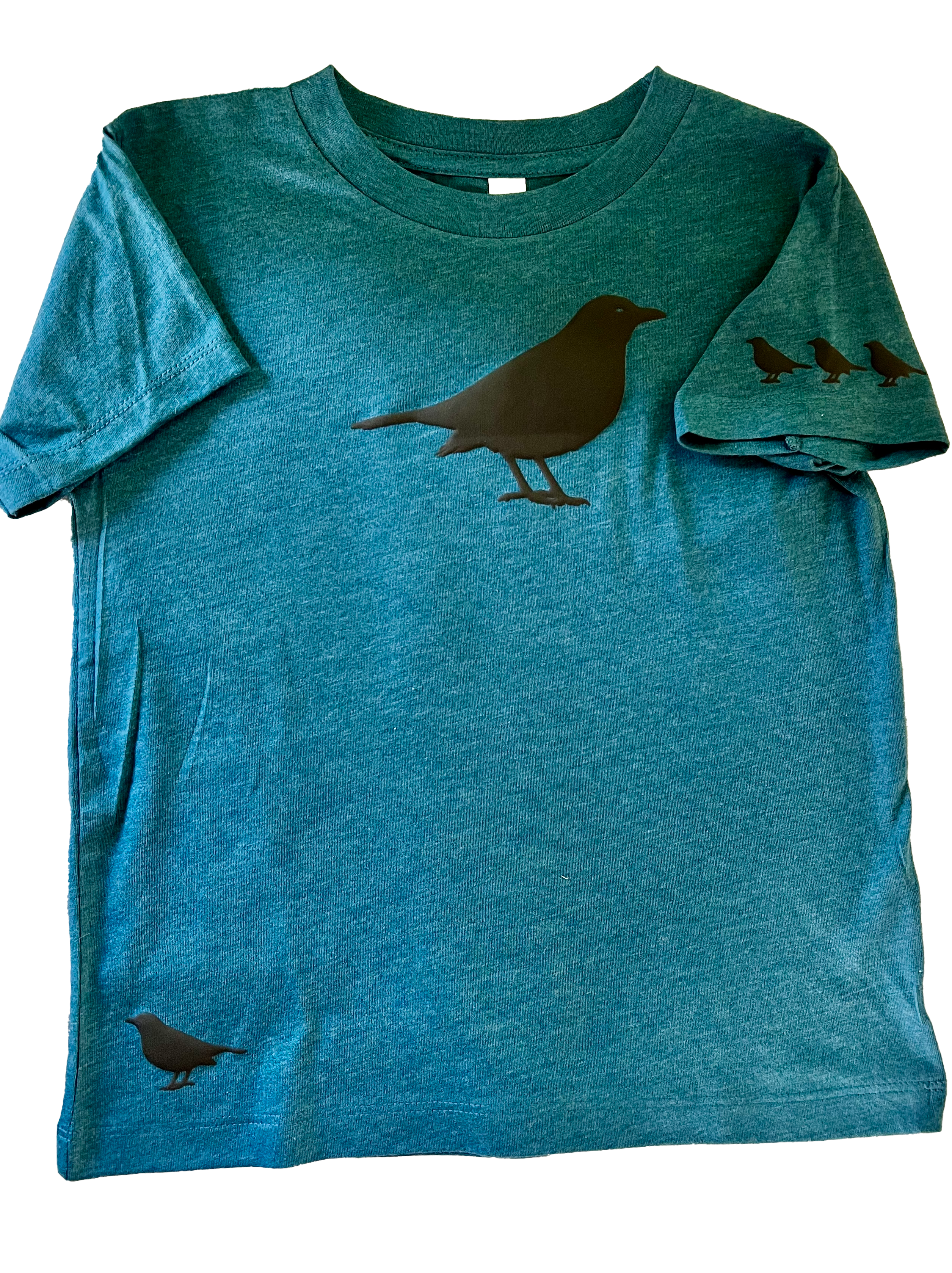 American Crow - Puff