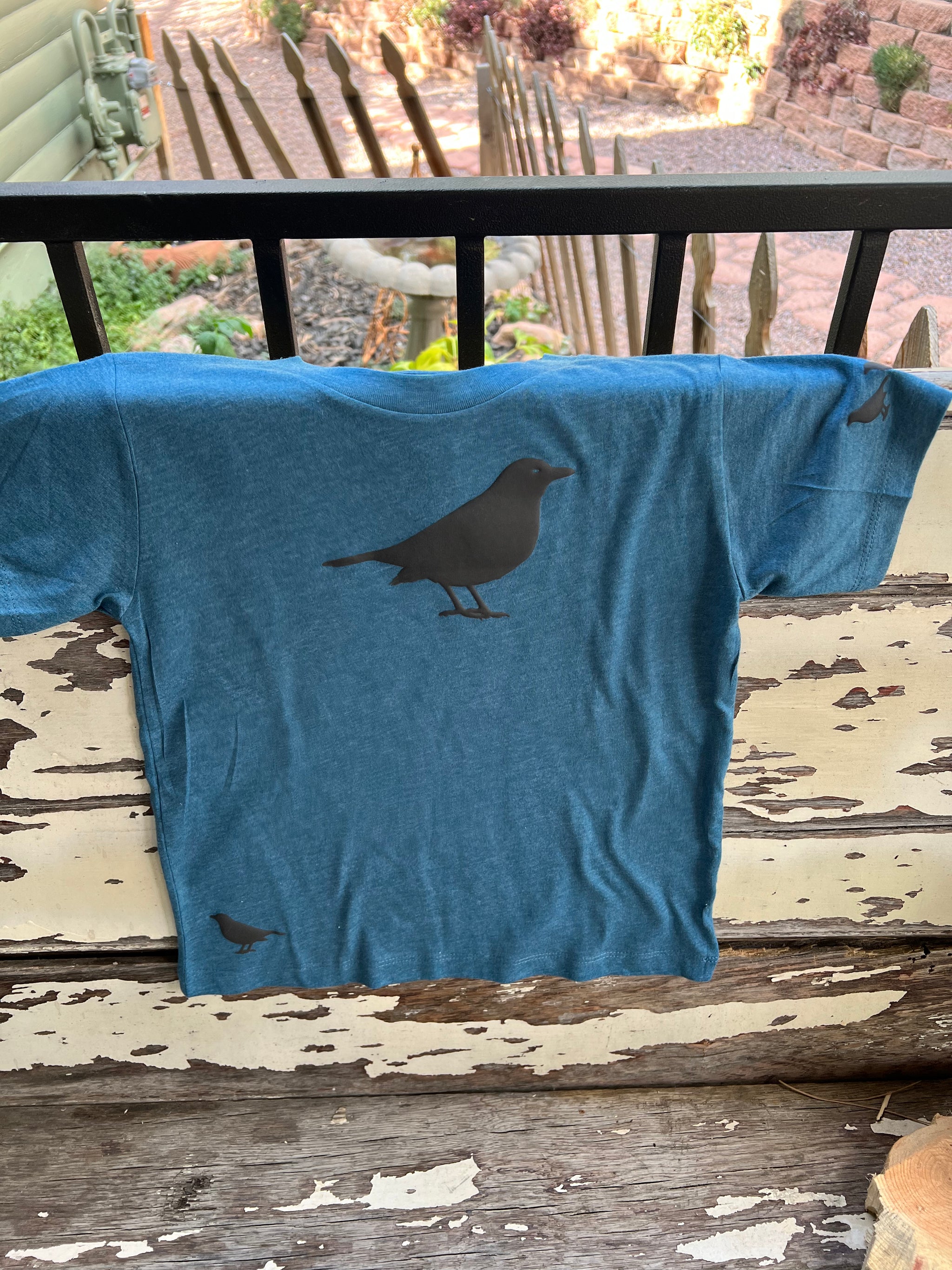 American Crow - Puff