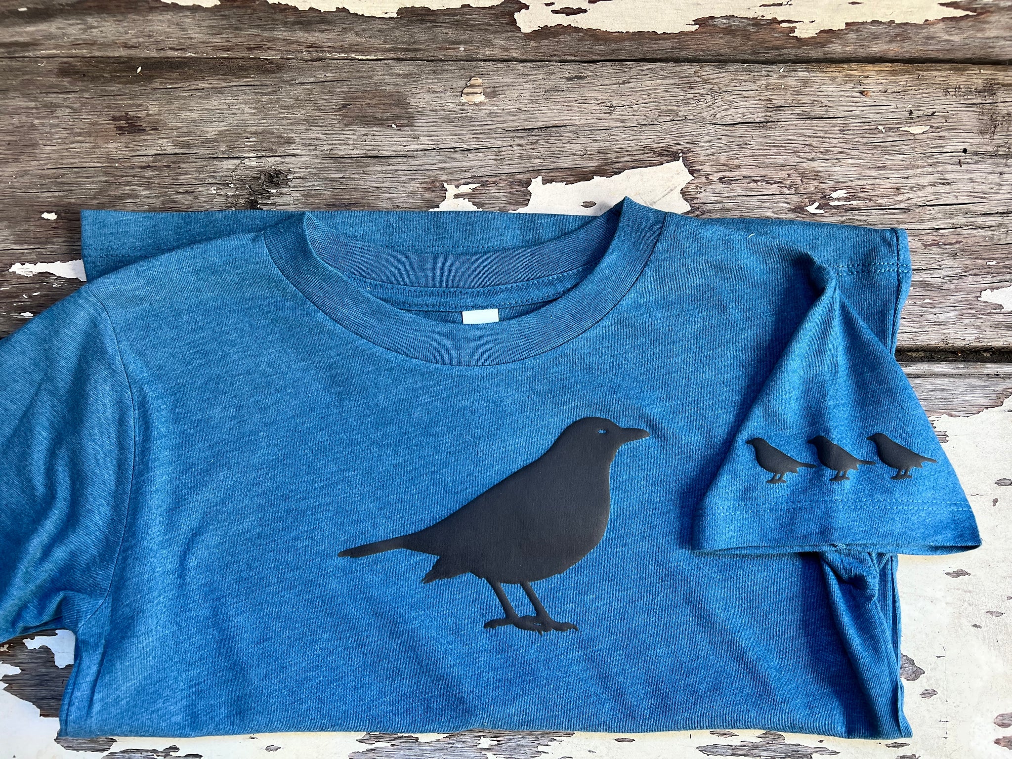 American Crow - Puff