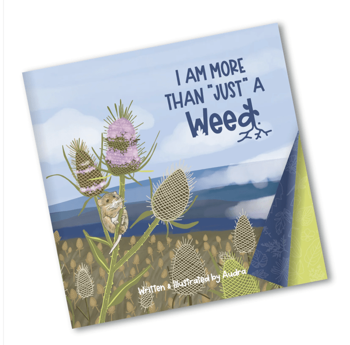 I Am More Than 