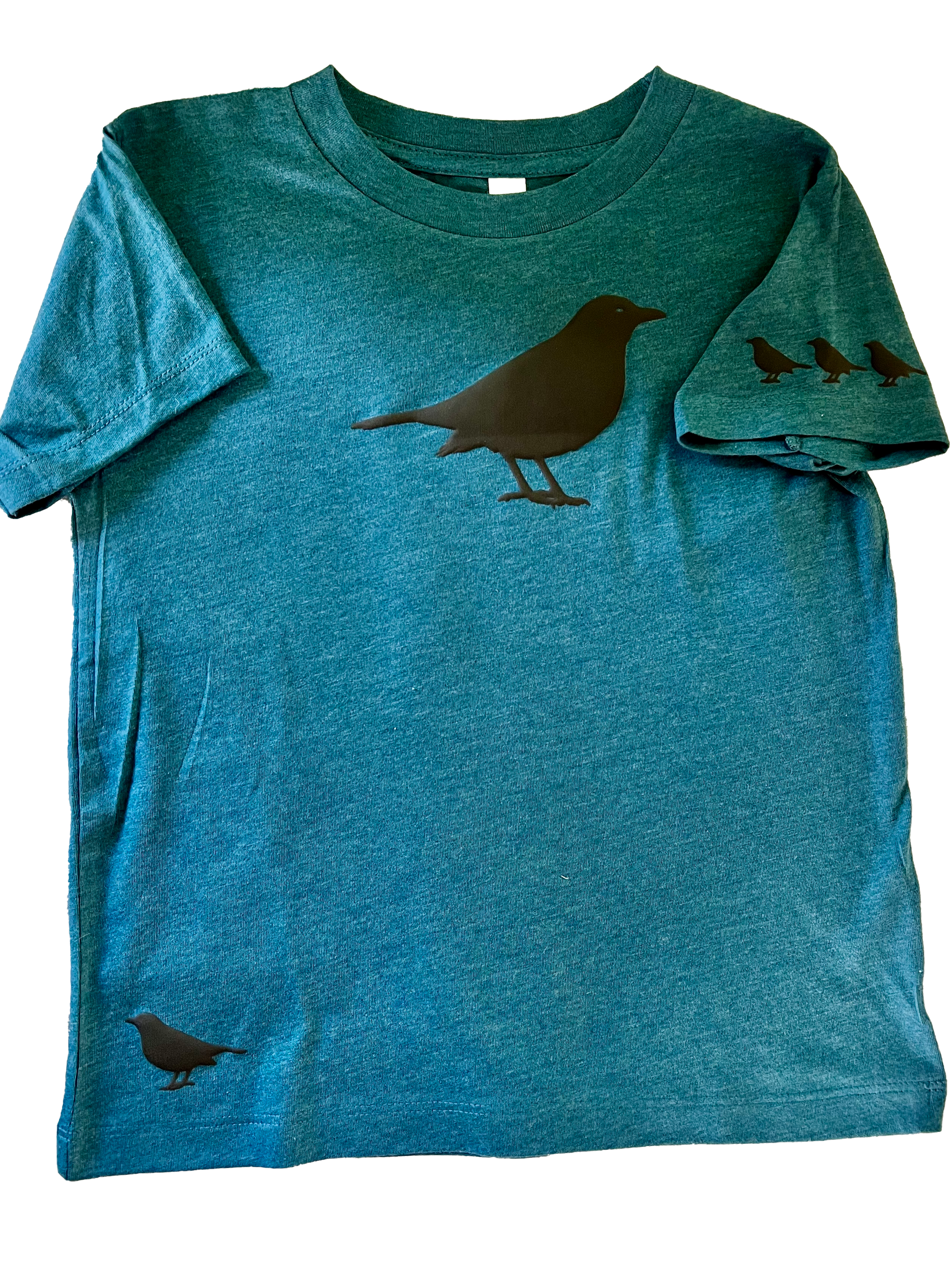 American Crow - Puff